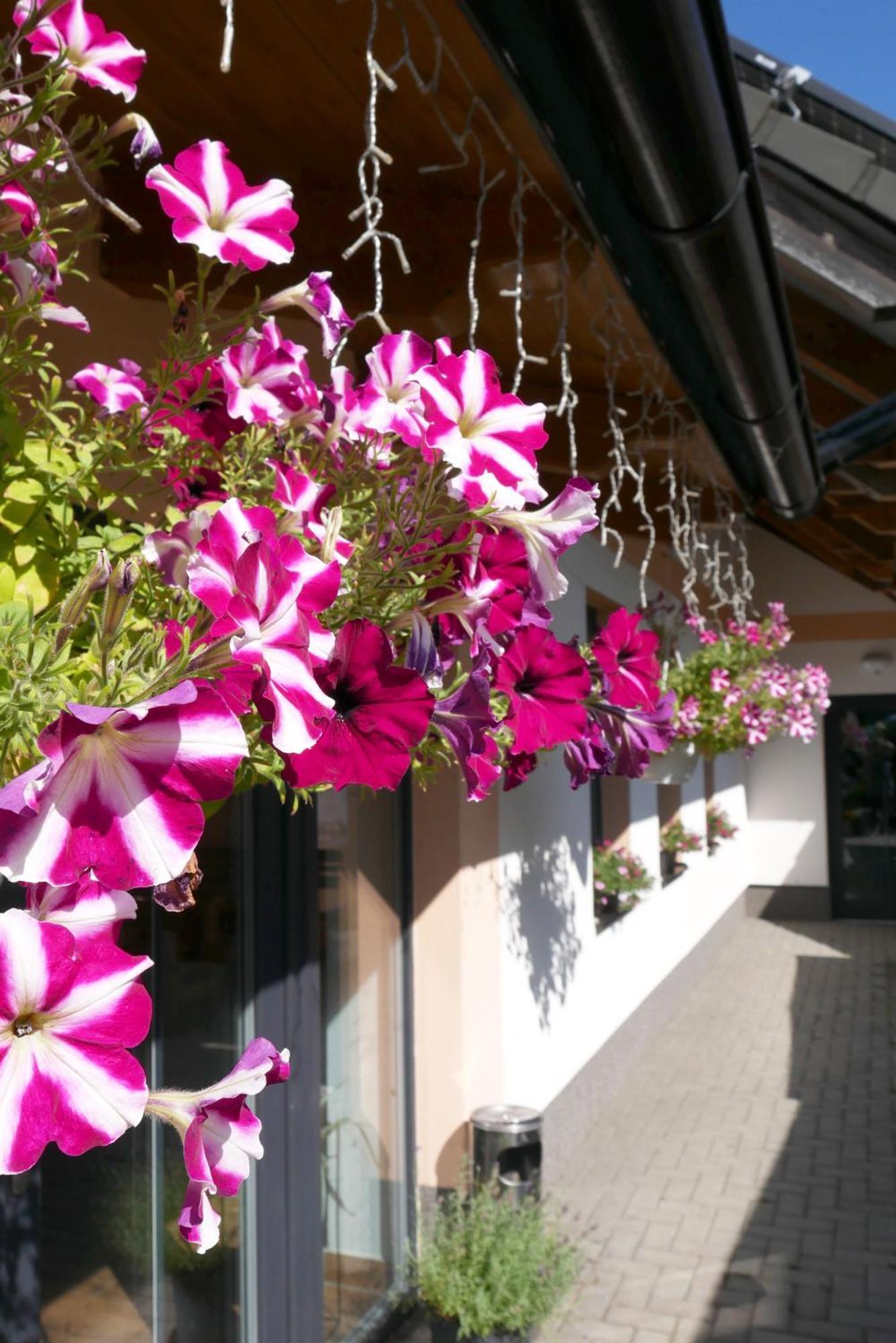Hospůdka a Ubytování U Mitucha Zenklava Exterior foto